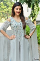 Mehreen Pirzada at Jawaan Movie Pre Release Press Meet